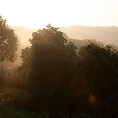 Eifel Rebeige Gerolstein Appartement Kopp Buitenkant foto