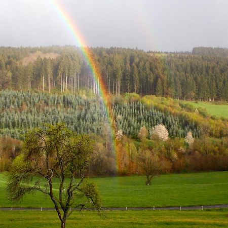 Eifel Rebeige Gerolstein Appartement Kopp Buitenkant foto