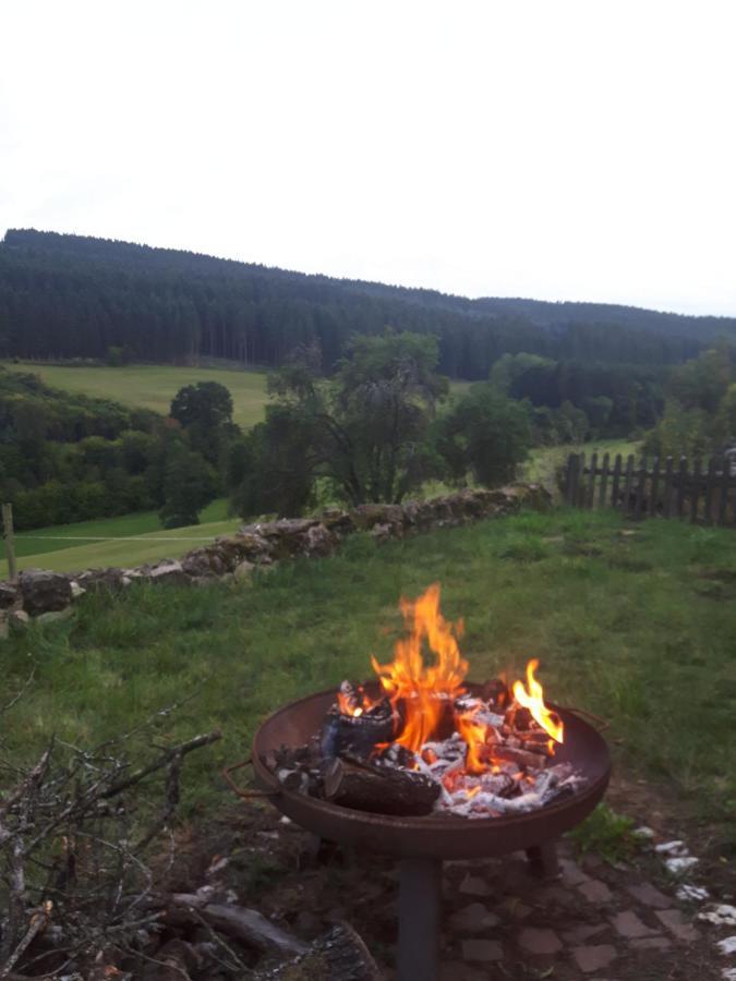 Eifel Rebeige Gerolstein Appartement Kopp Buitenkant foto