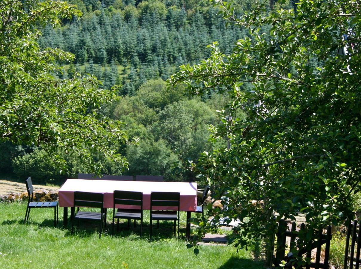 Eifel Rebeige Gerolstein Appartement Kopp Buitenkant foto