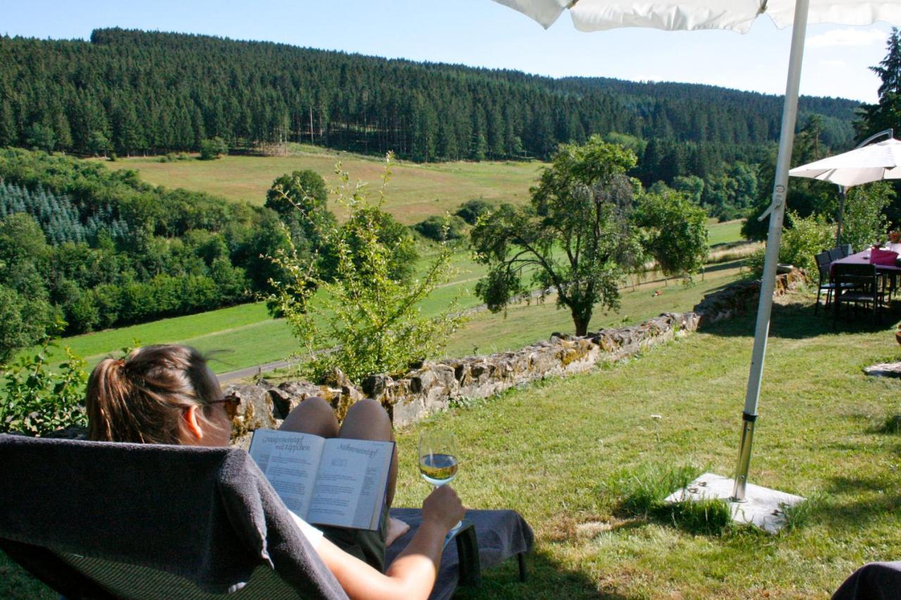 Eifel Rebeige Gerolstein Appartement Kopp Buitenkant foto