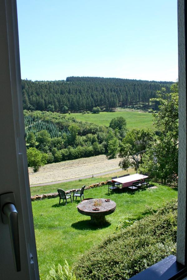 Eifel Rebeige Gerolstein Appartement Kopp Buitenkant foto