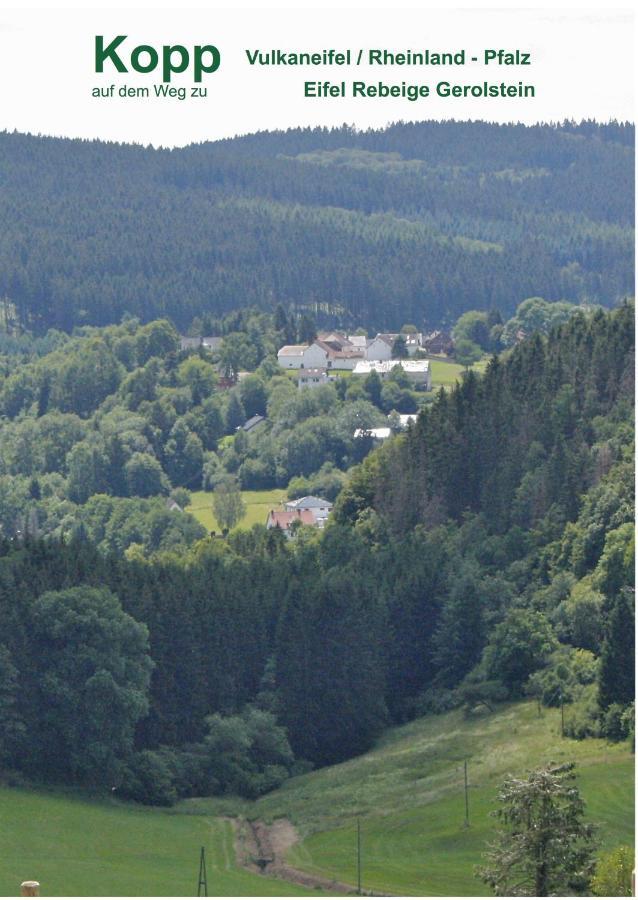 Eifel Rebeige Gerolstein Appartement Kopp Buitenkant foto