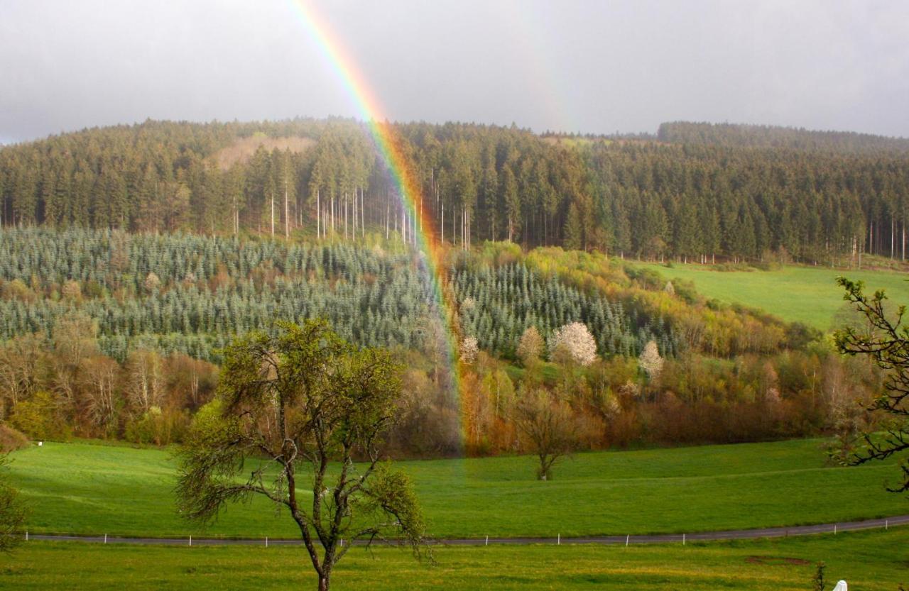 Eifel Rebeige Gerolstein Appartement Kopp Buitenkant foto